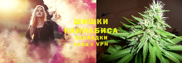 дживик Верея