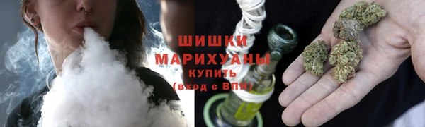 СК Бронницы