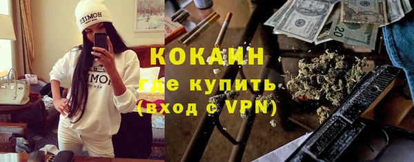молекула духа Бородино