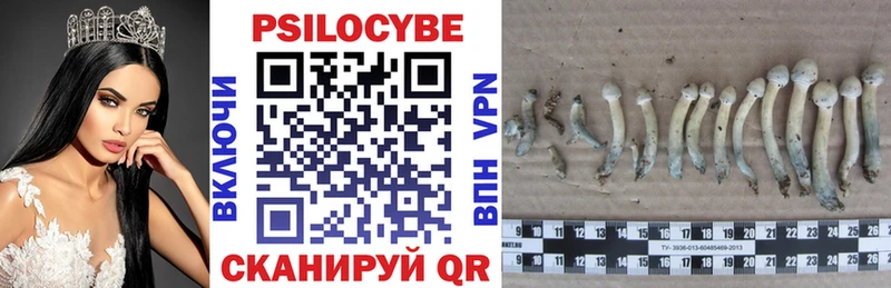 Галлюциногенные грибы прущие грибы  Кущёвская 